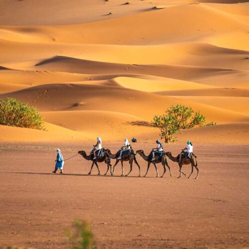 Private 3 Day Fes to Marrakech Desert Tour